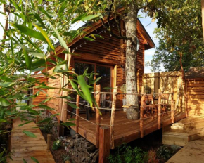 Kabanéo - gîte et sauna- Samois sur Seine - Forêt de Fontainebleau